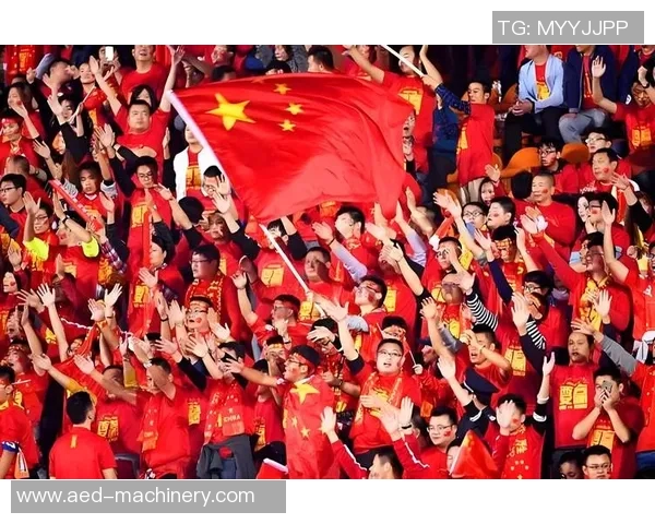 中国足球队最新国际排名分析及未来发展展望